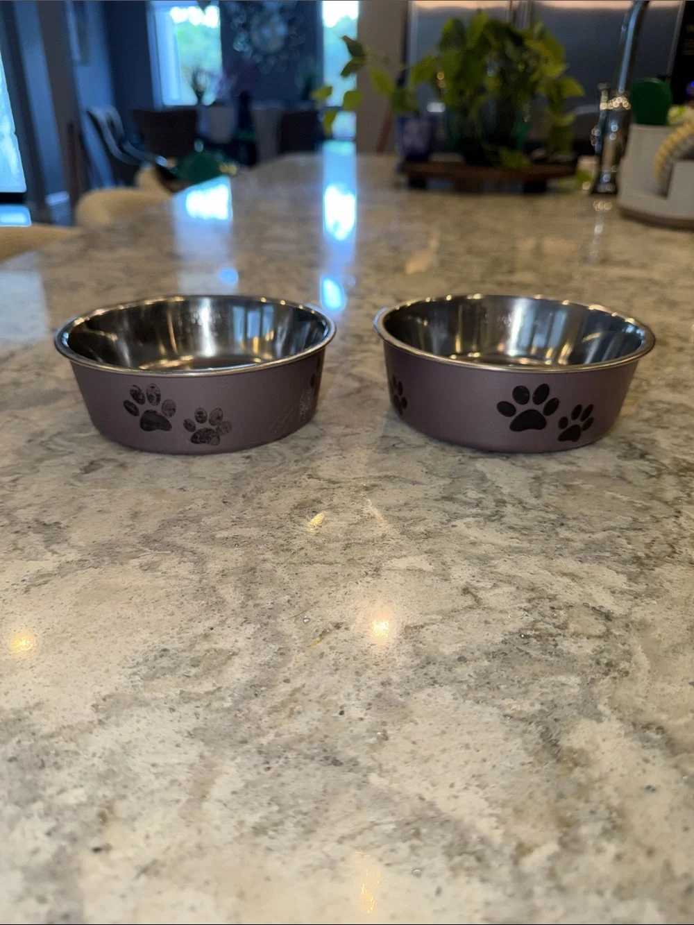 Set of 2 Paw-Print Stainless Steel Pet Bowls - Dusty Purple